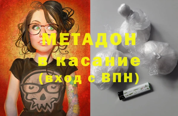 индика Богданович